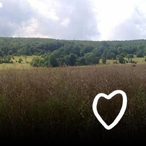 Meet your Posher, Slavica